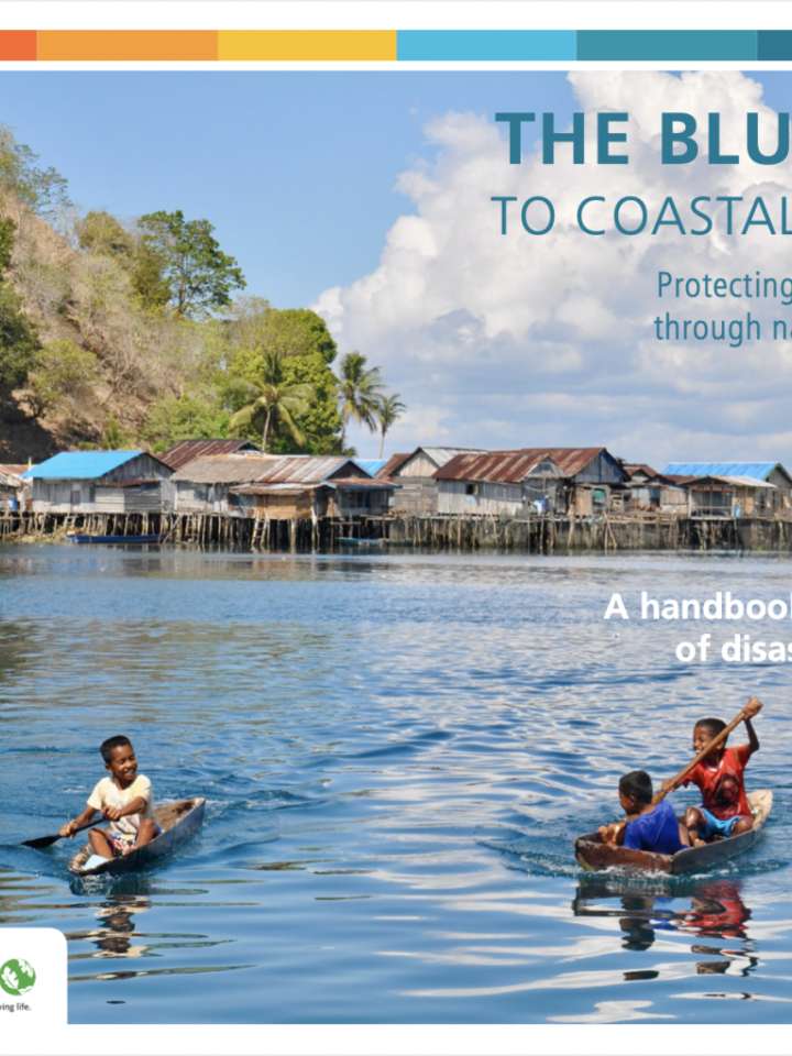 The Blue Guide To Coastal Resilience: Protecting Coastal Communities ...