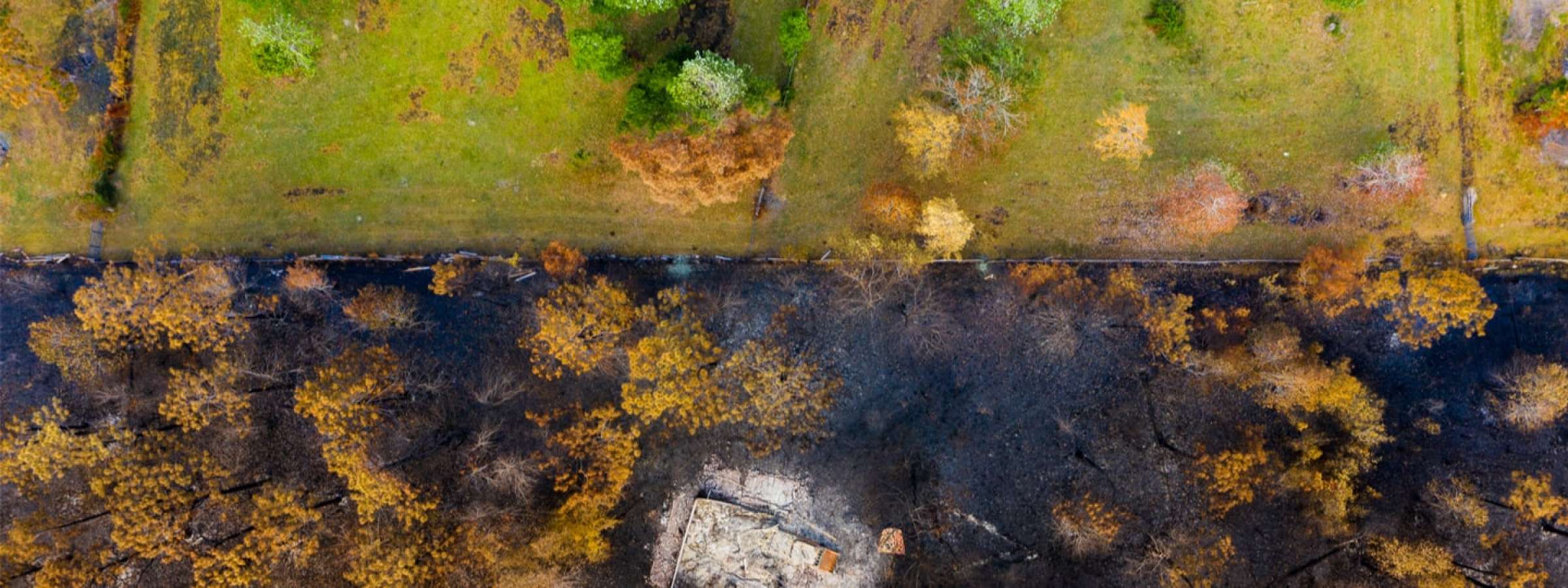 Aerial view of a burned area