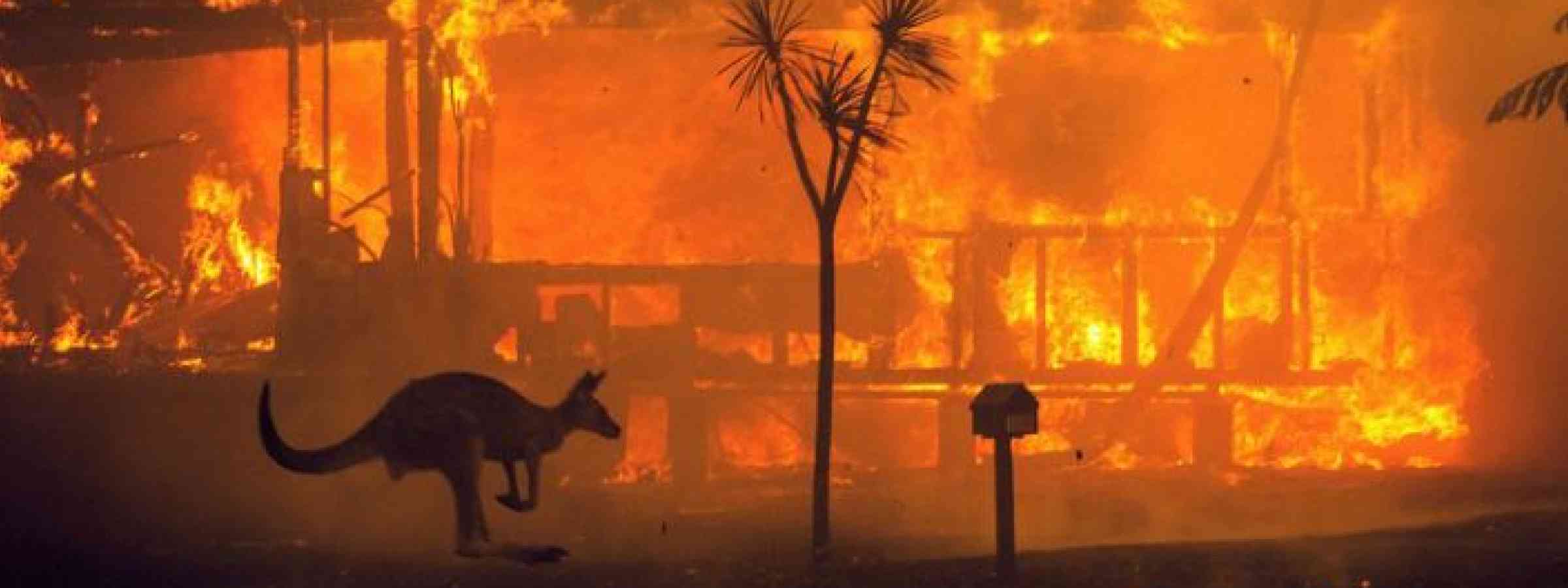 2019-20 Australian Bushfires