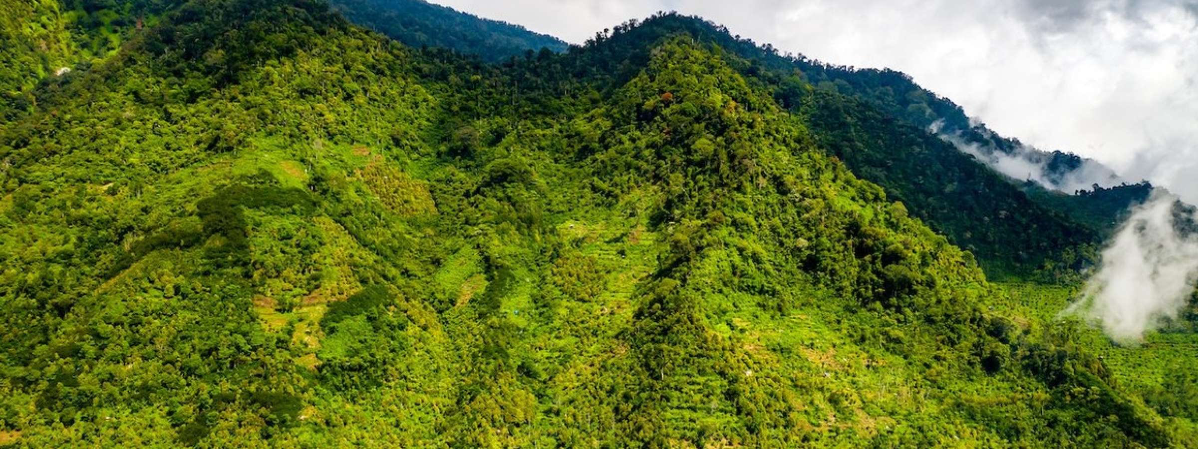 Forested mountain slopes, Banten, Indonesia